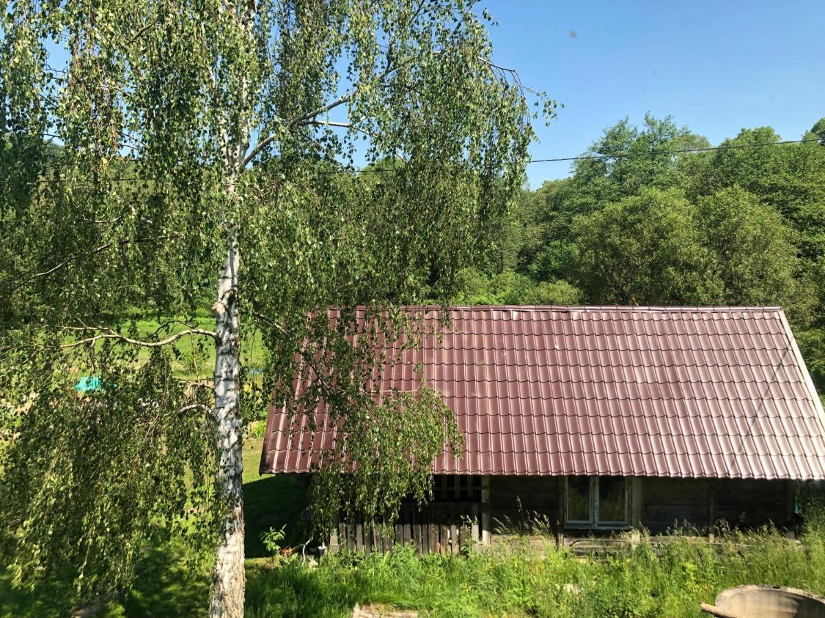 Homestay Zielonapogoda