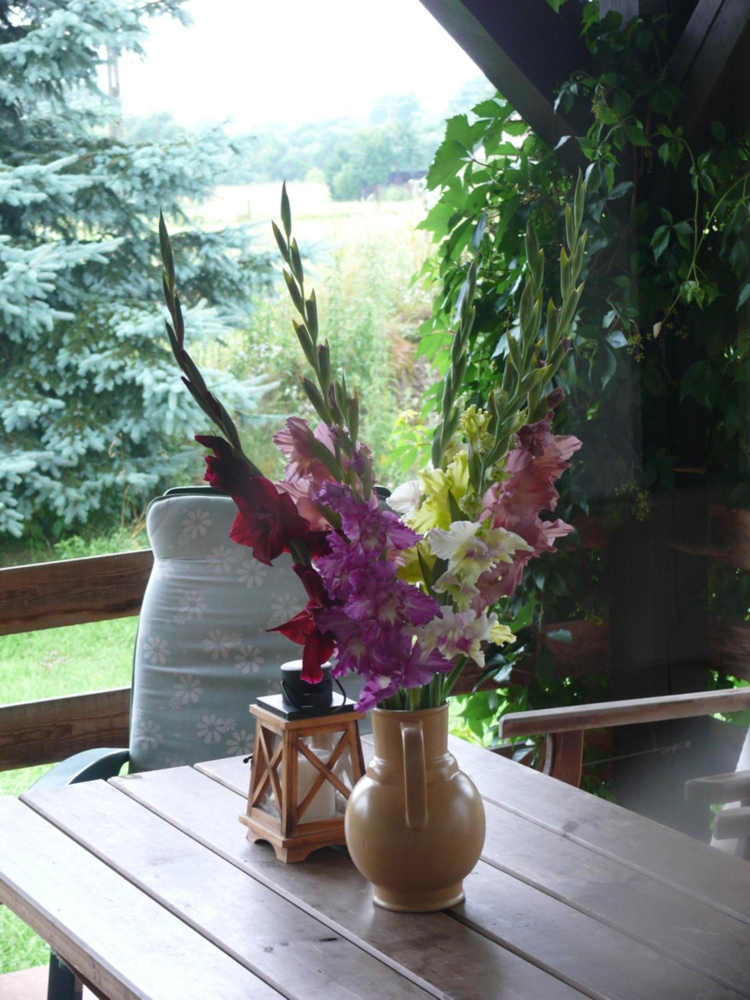 Zielonapogoda Homestay *